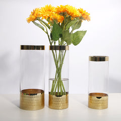 Glass vase modern transparent hydroponic flower vase home decoration ornaments