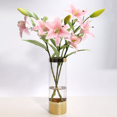 Glass vase modern transparent hydroponic flower vase home decoration ornaments